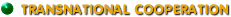 Transnational cooperation
